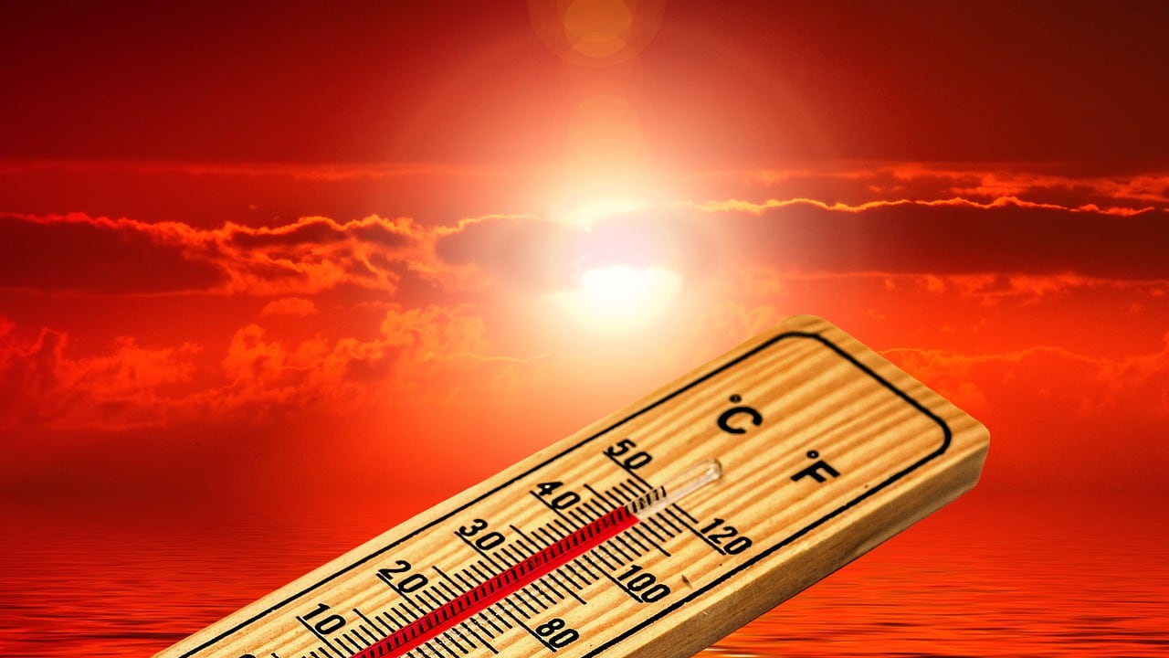 Ola de calor.