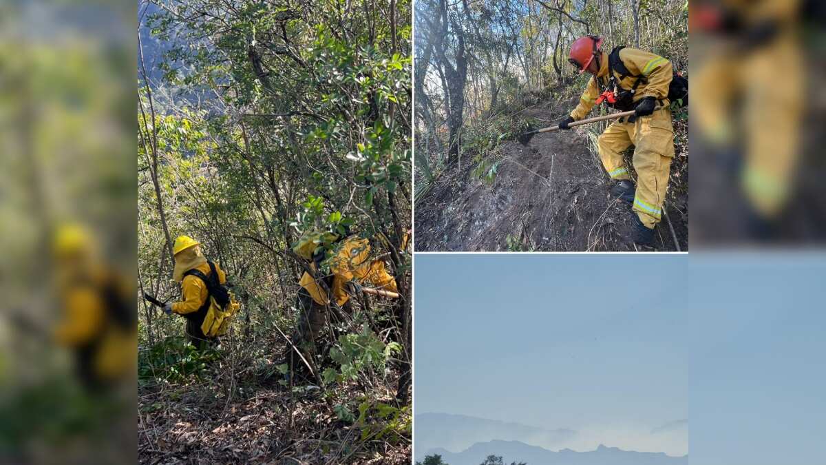 Más de 80 brigadistas están trabajando para sofocar el fuego.