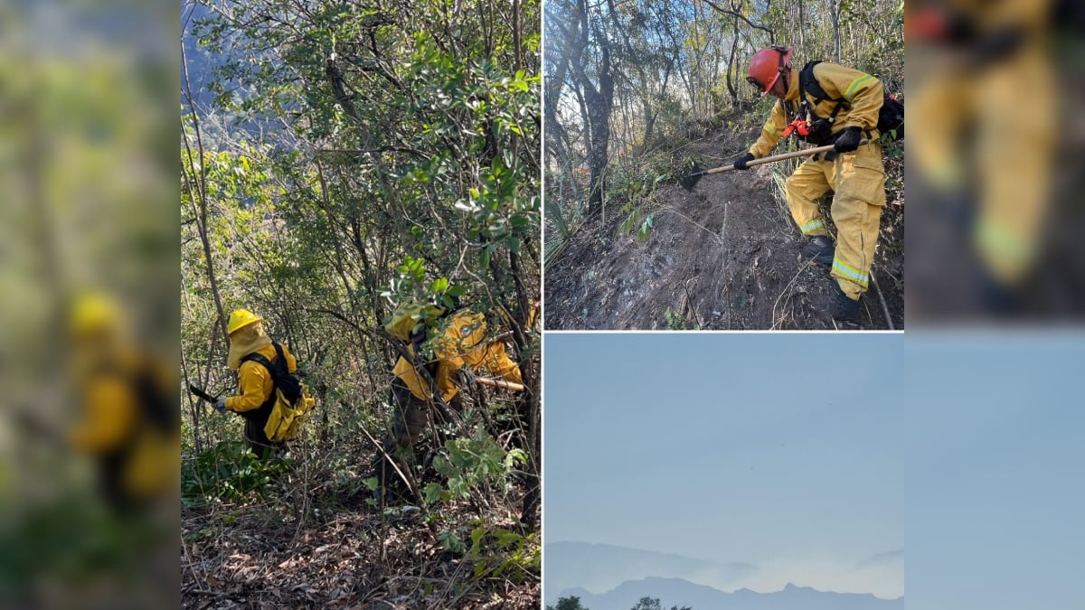 Más de 80 brigadistas están trabajando para sofocar el fuego.