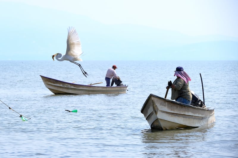 El cuerpo de agua mantiene su nivel pese a que las temperaturas máximas en Jalisco han comenzado a alcanzar un promedio de entre los 35 y los 40°C. ESPECIAL/ GOBIERNO DE JALISCO