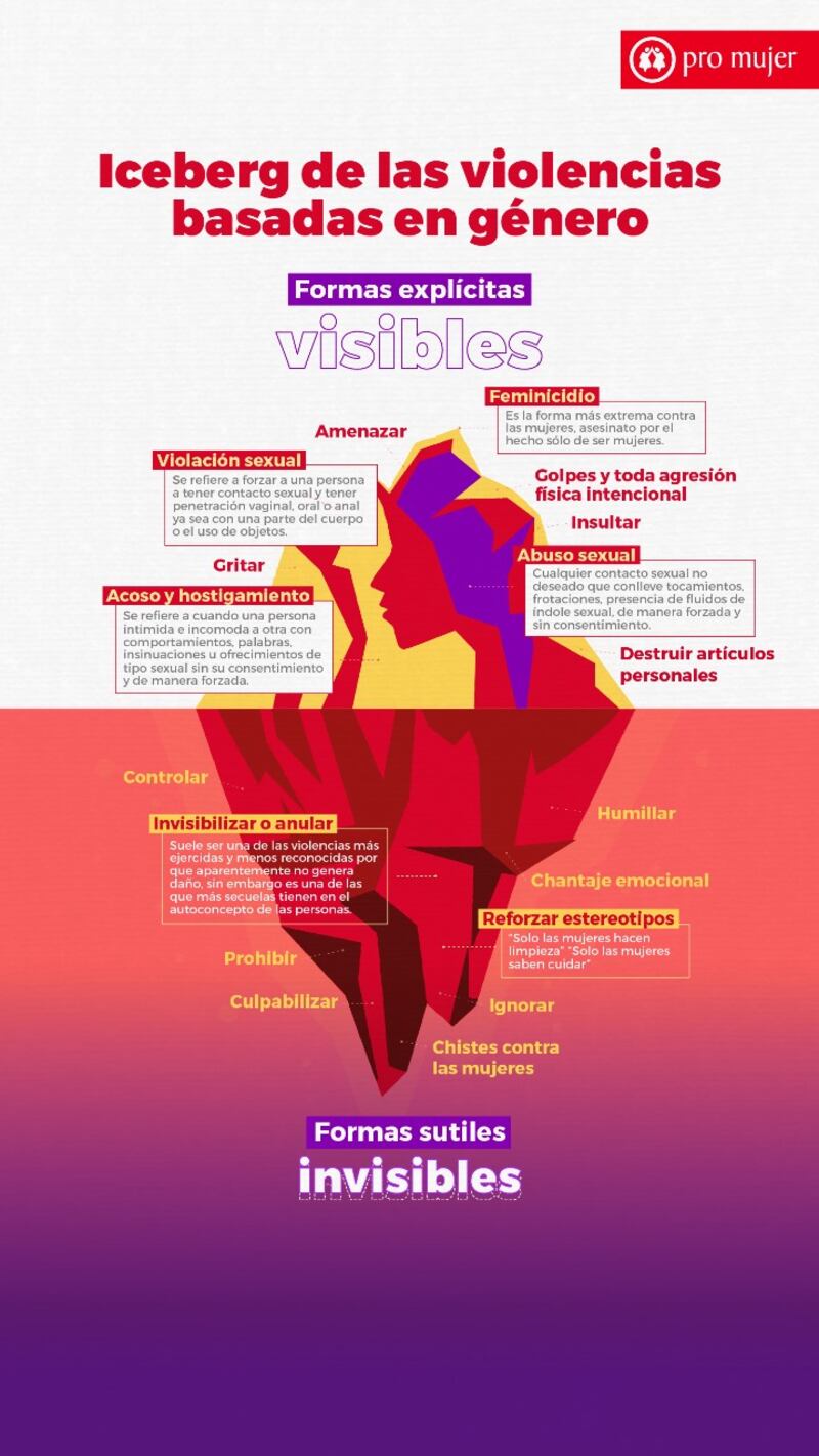 Formas visibles e invisibles de violencia contra la mujer (Pro Mujer)