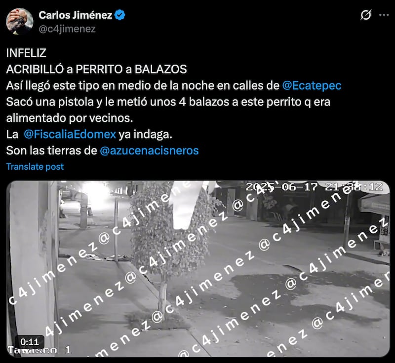 Mata a balazos a perrito