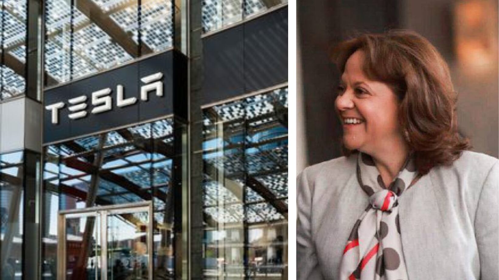 Martha Delgado apuntó que se cuenta con 127 proveedores desde México, por lo que una de las principales razones por las que se eligió al país como sede para la fábrica de Tesla es el desarrollo de ingenieros; así como la cercanía con Estados Unidos.