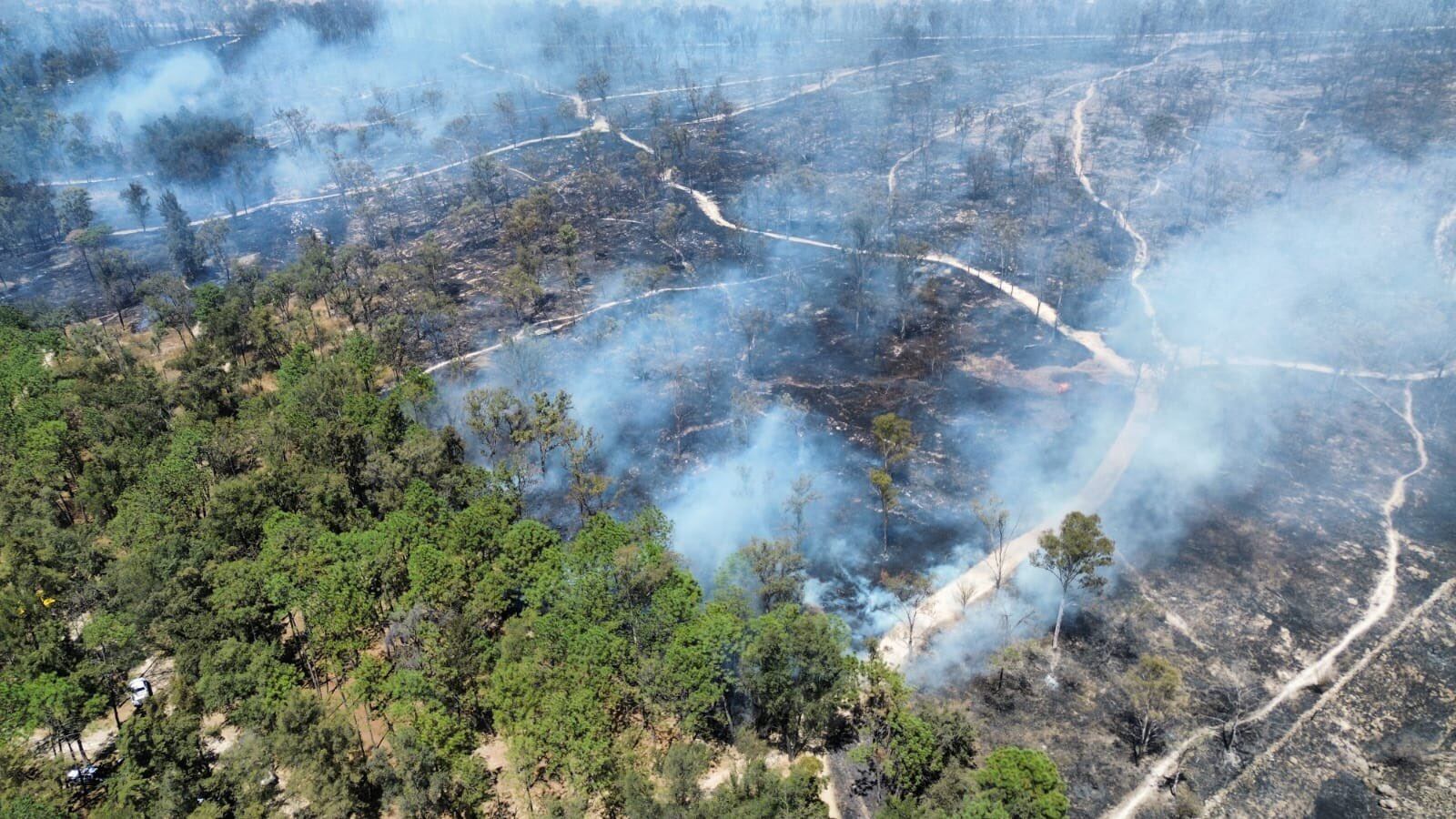 La Región Valles registró más de mil 100 hectáreas afectadas por incendios forestales entre el 10 y el 16 de marzo. ESPECIAL/ PROTECCIÓN CIVIL JALISCO