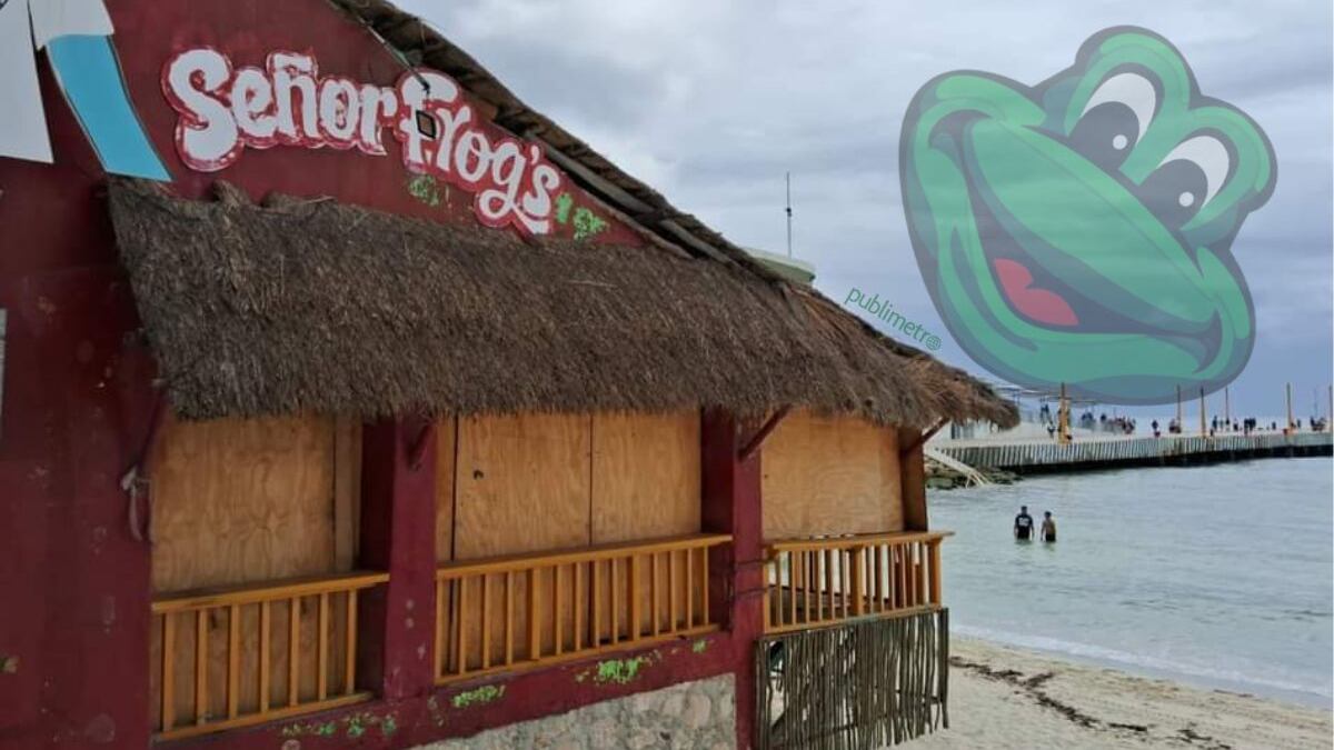 Misterioso cierre de Señor Frog’s en Playa del Carmen: Lo que sabemos del su fin en Riviera Maya