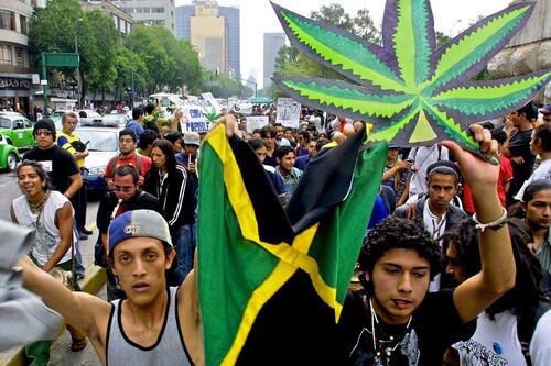 ¿Habrá Marcha 420 por la legalización de la marihuana? Movimiento Cannábico responde