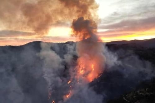 Incendio consumió 11 hectáreas de ANP en la Sierra Gorda