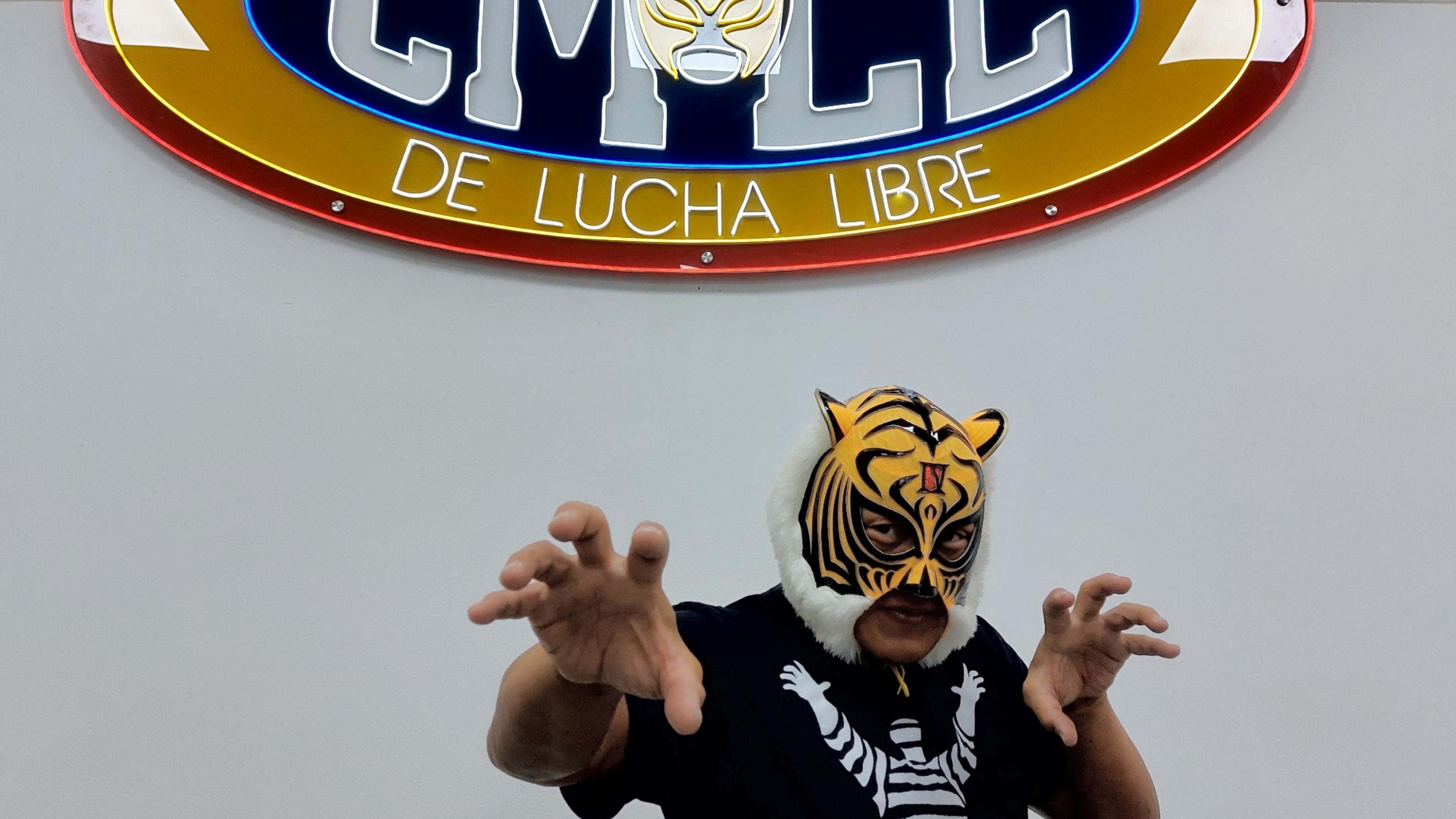 Tiger Mask