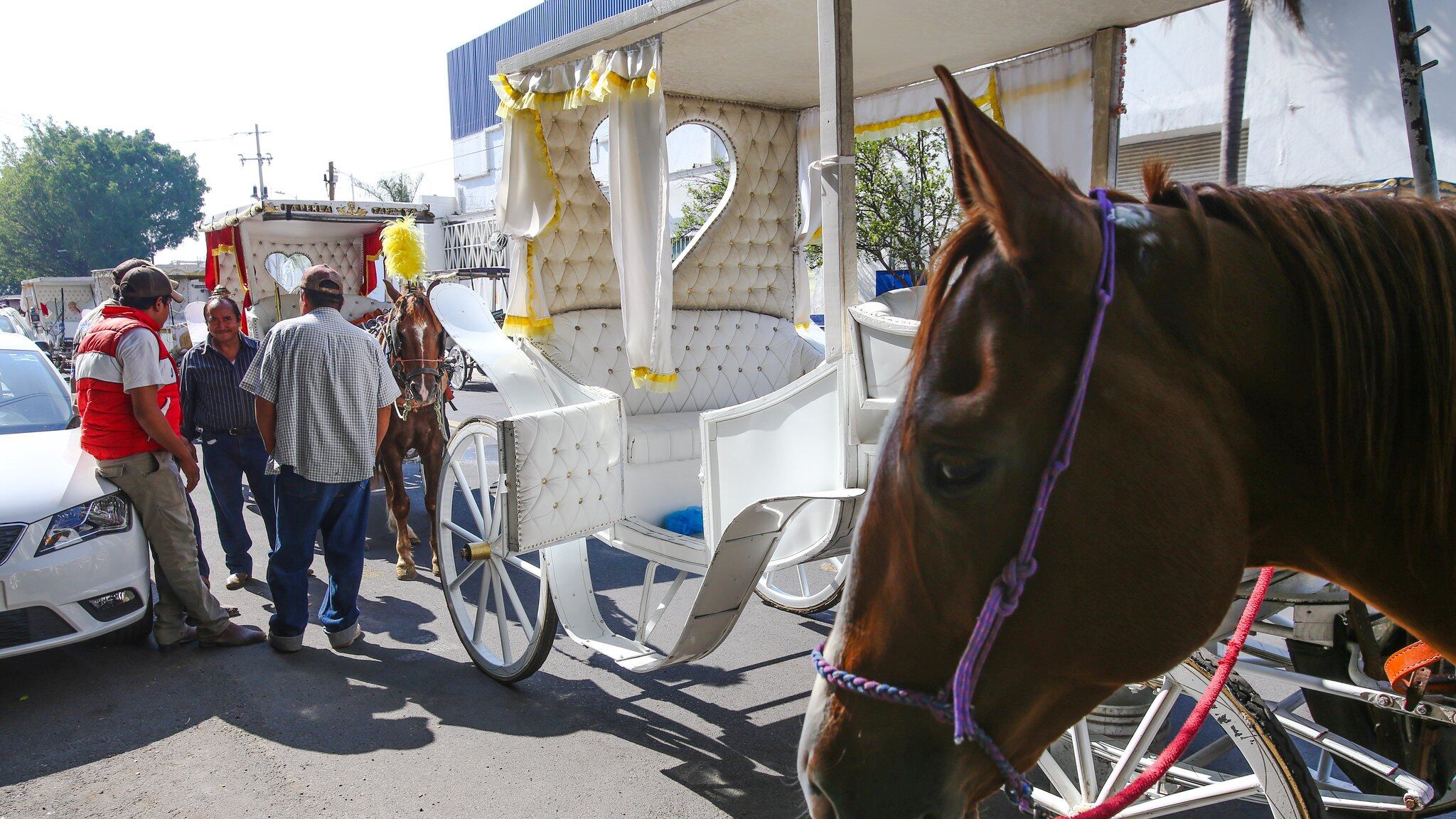 En la administración de Enrique Alfaro se inició con la migración a calandrias eléctricas, pero la proveedora no entregó las unidades requeridas.