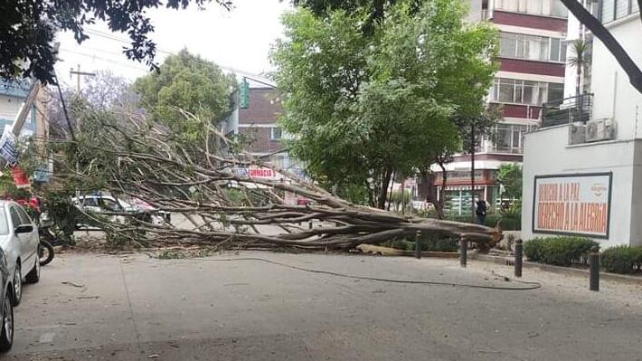 Alerta amarilla por fuertes vientos en la CDMX 12 marzo 2023