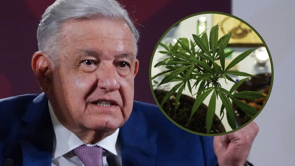 El presidente ha indicado que no está de acuerdo con la legalización de la planta.