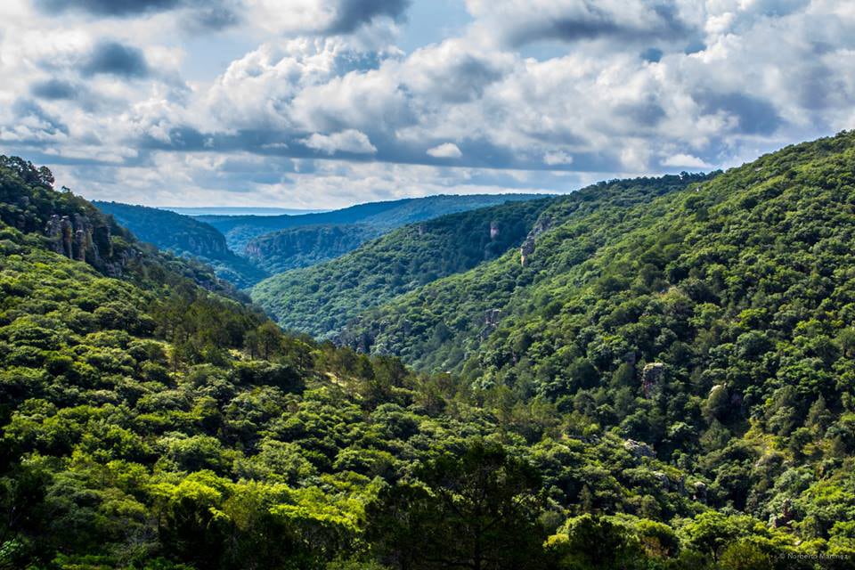 Buscan proyectos ambientales en Guanajuato para premio Haciendo Eco por el Planeta 2026