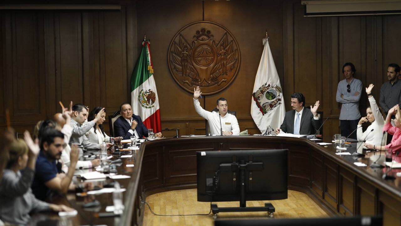 La creación del reglamento tiene que ver con amplitudes y lineamientos.