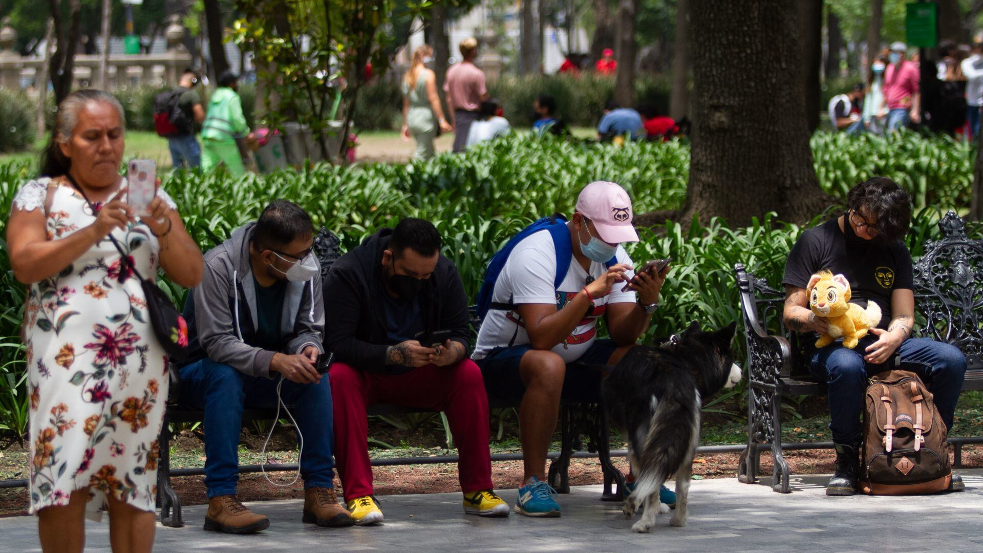 ¿Por qué Samsung bloqueará algunos celulares en México?
