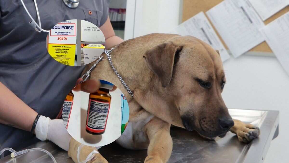 En redes sociales se ofertan medicamentos aprócrifos, por lo que personas estarían en riesgo.