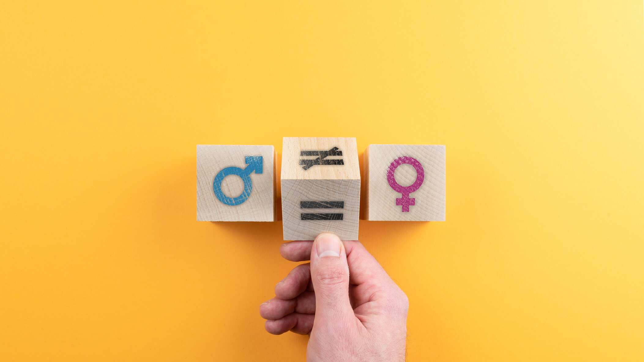 Este censo se centró en profundizar en la distribución de las cargas domesticas con el fin de construir una sociedad más equitativa