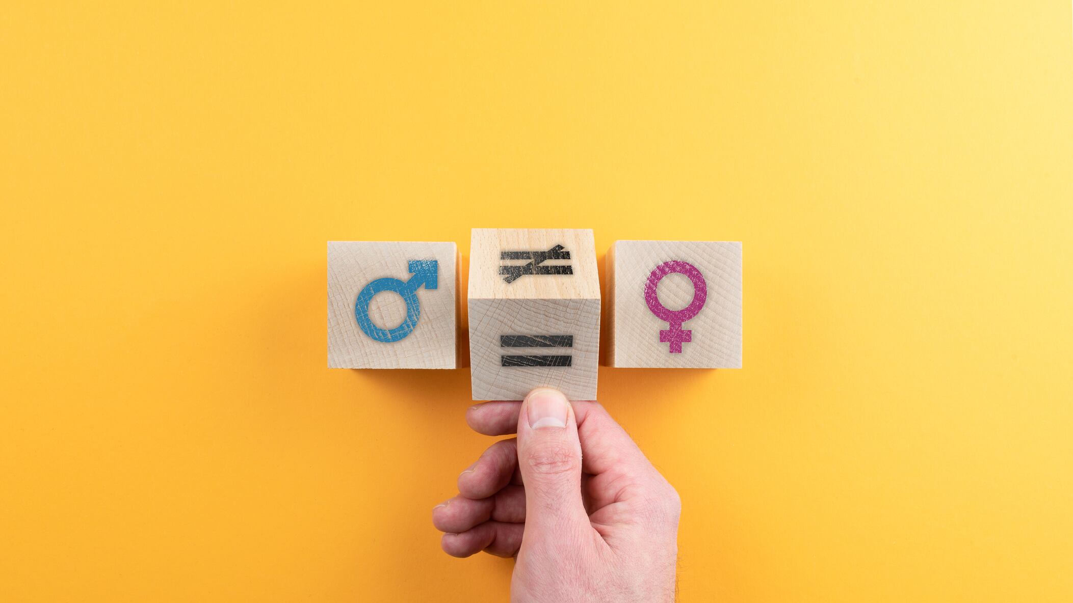 Este censo se centró en profundizar en la distribución de las cargas domesticas con el fin de construir una sociedad más equitativa