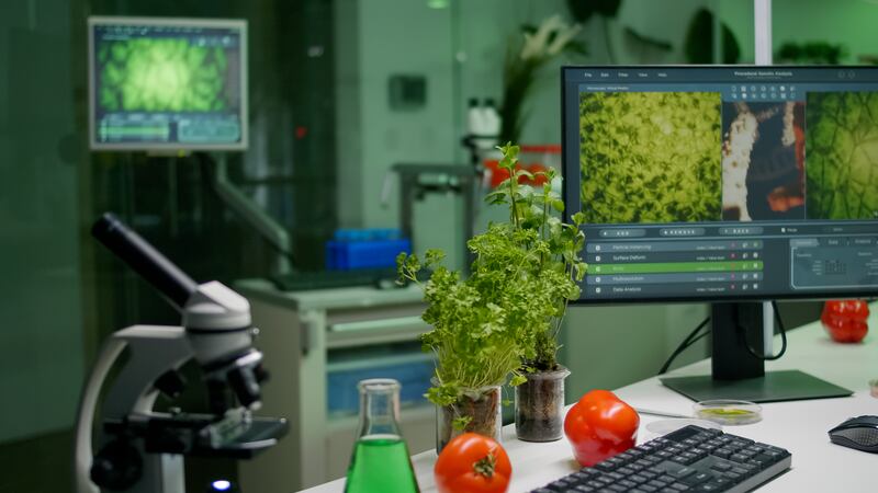 Nanotecnología agrícola: el proyecto mexicano que busca transformar el campo