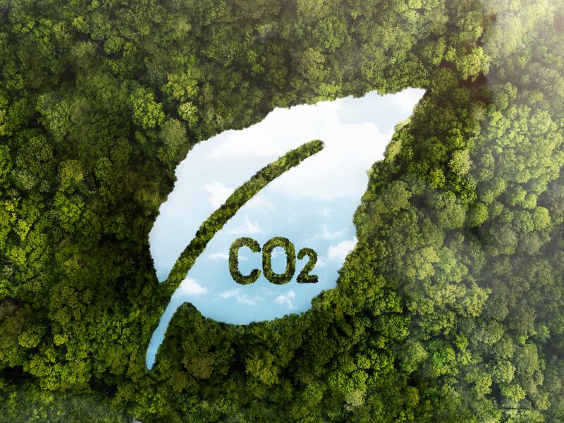 Esta fuente de energía limpia podría cambiar en caso de que se desarrollen políticas adecuadas que fomenten su implementación