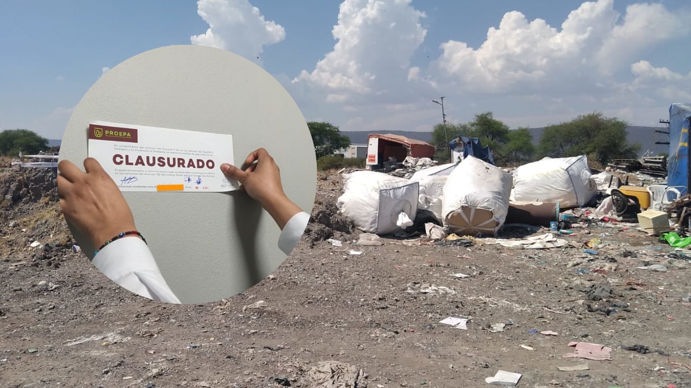 CORTESÍA/ PROEPA/ ESPECIAL