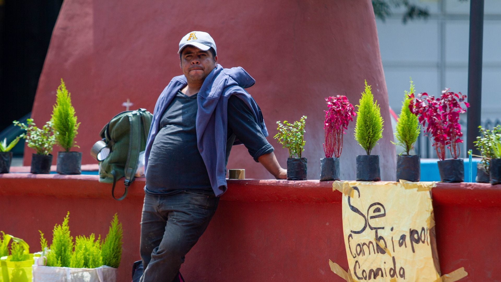Pobreza. Una persona cambia plantas por comida en Polanco.