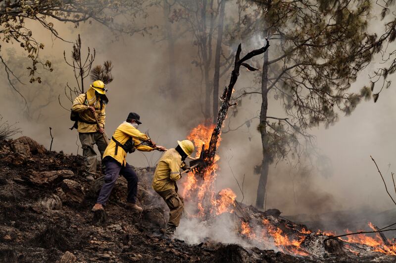 Autoridades también vigilan el tema de los bosques, cuyos incendios son de los principales generadores de partículas contaminantes.