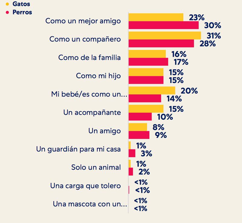 índice de las mascotas sin hogar