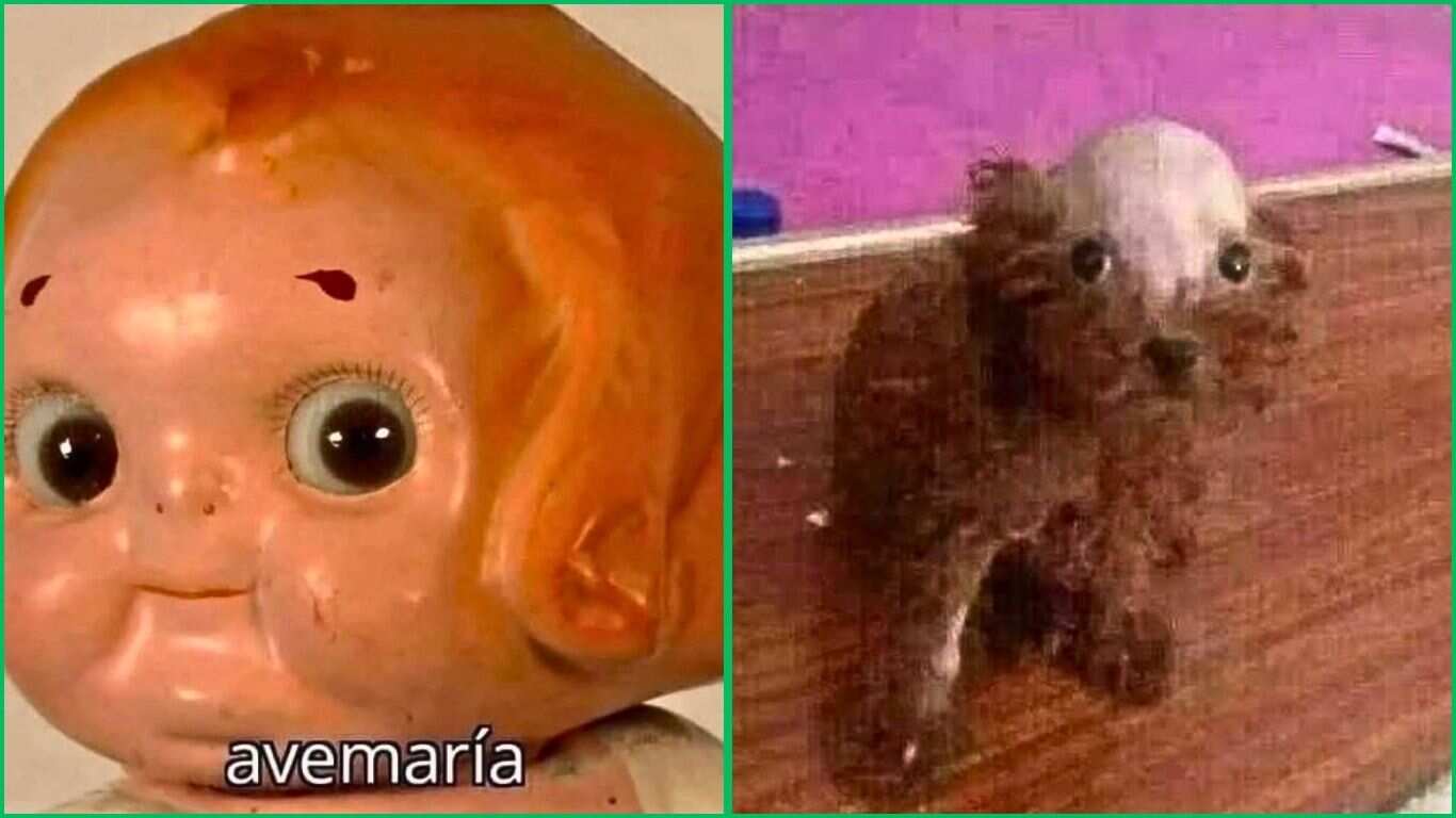 Memes tras el Simulacro Nacional 2025