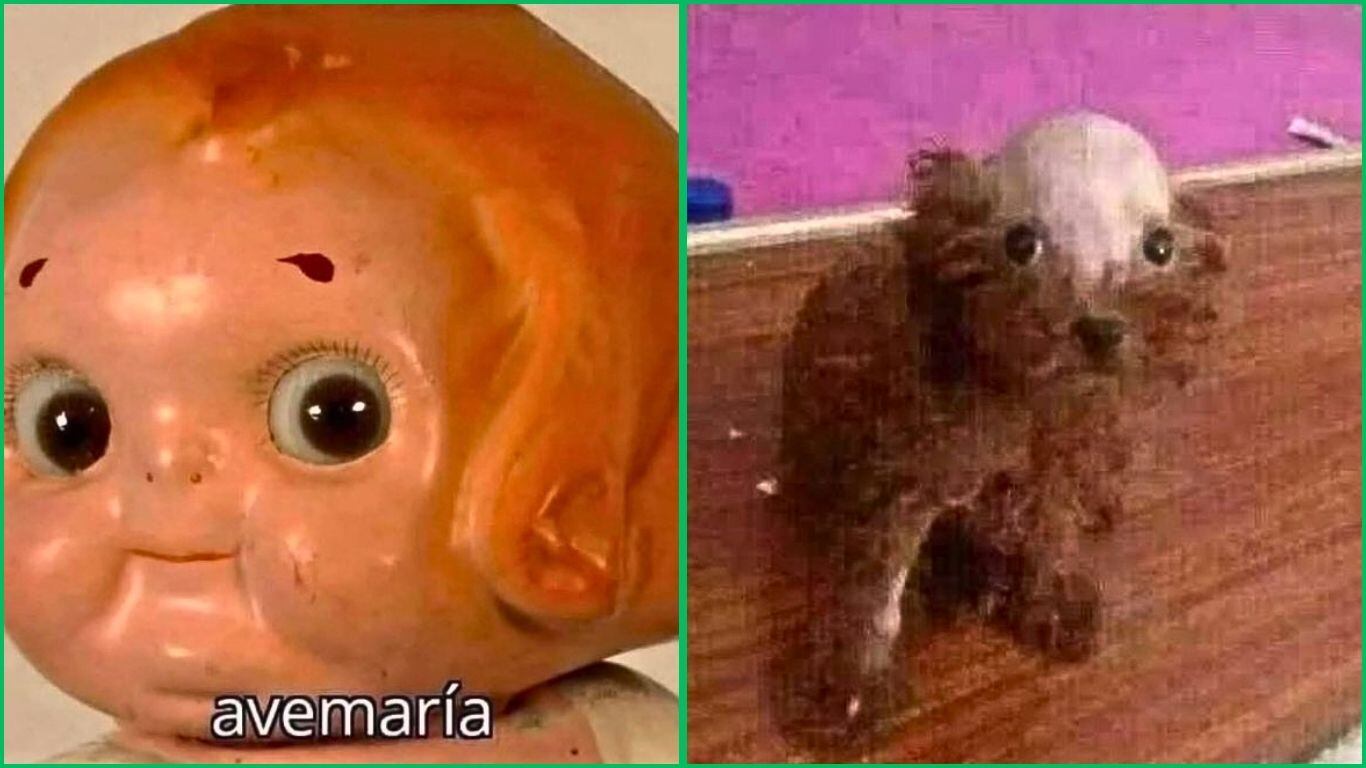 Memes tras el Simulacro Nacional 2025