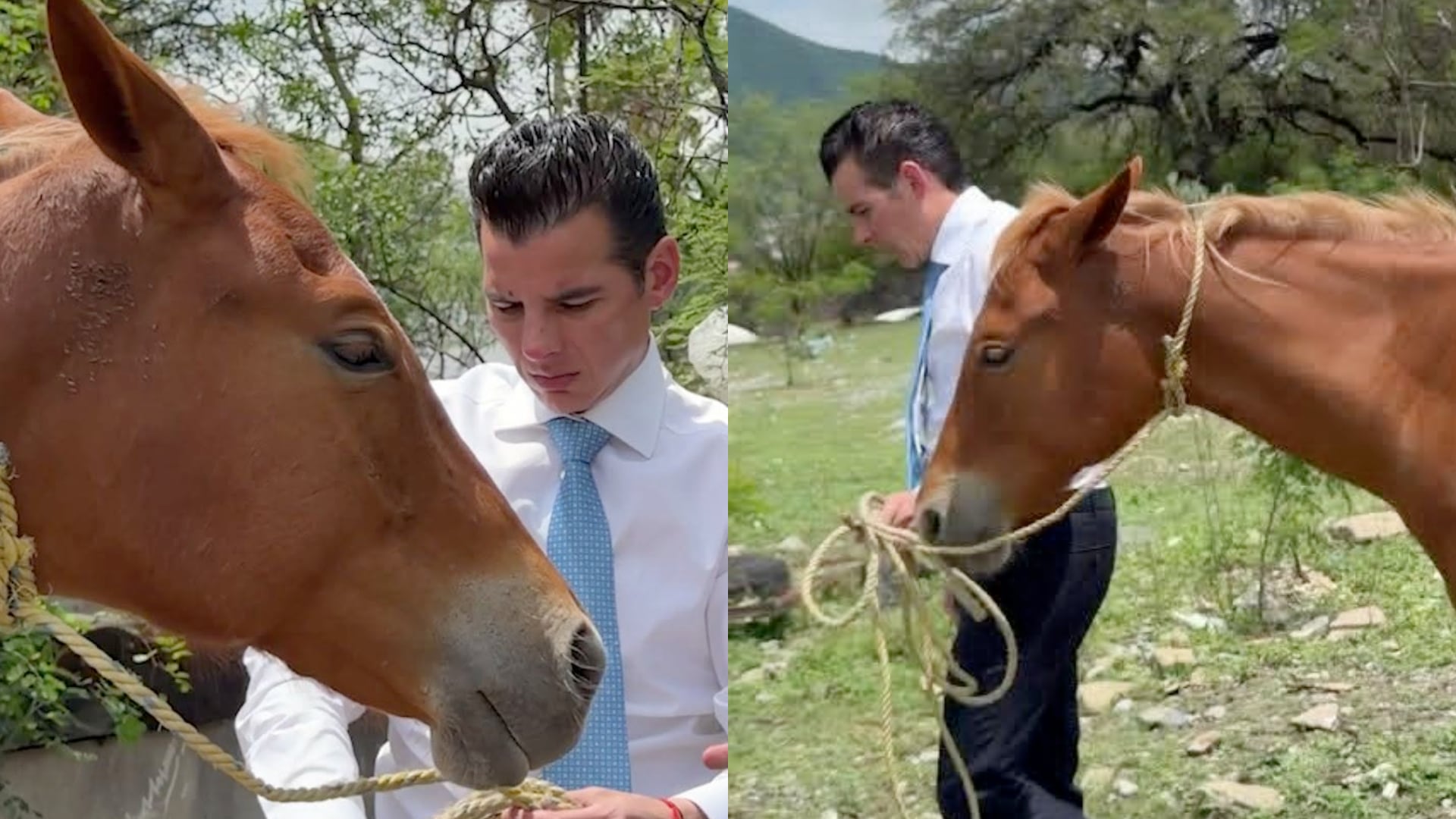La denuncia difundida en redes sociales señalaba la presencia constante de caballos sueltos en los alrededores del colegio Formus