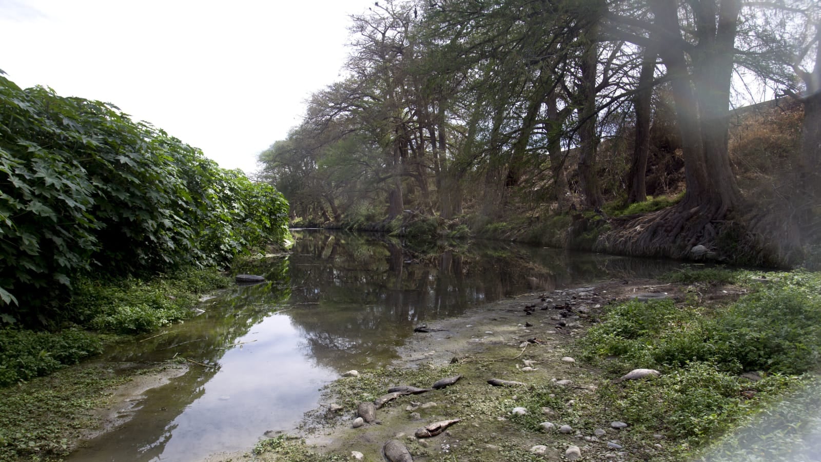 La contaminación no se reduce únicamente al aire, también los mantos acuíferos están siendo afectados.