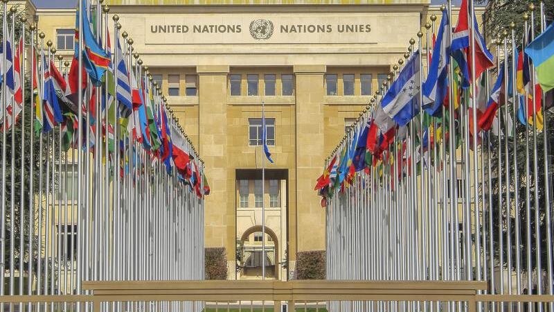 Organización de las Naciones Unidas (ONU)