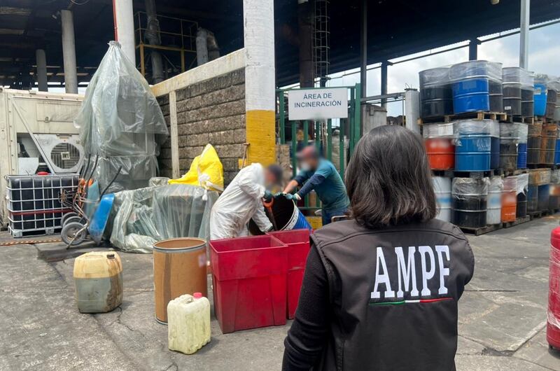 FGR destruye precursores químicos y drogas aseguradas en Michoacán