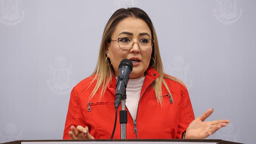 Diputada del Partido del Trabajo, Claudia Díaz Gayou.