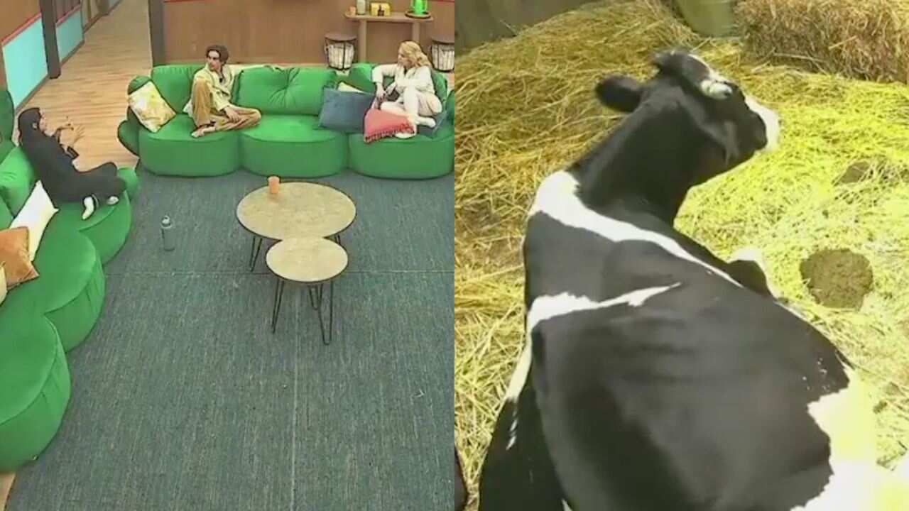 Intento de censura en 'La Granja VIP' queda expuesto