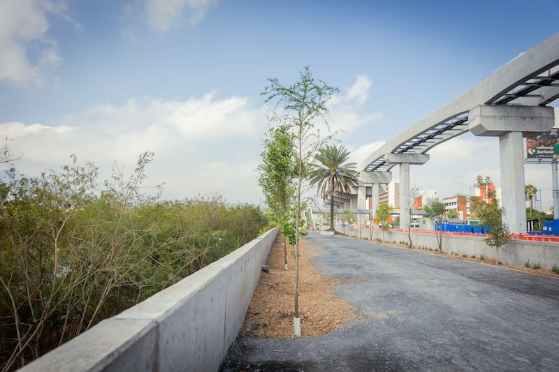 Esta intervención es la primera fase del proyecto Bosques Urbanos.