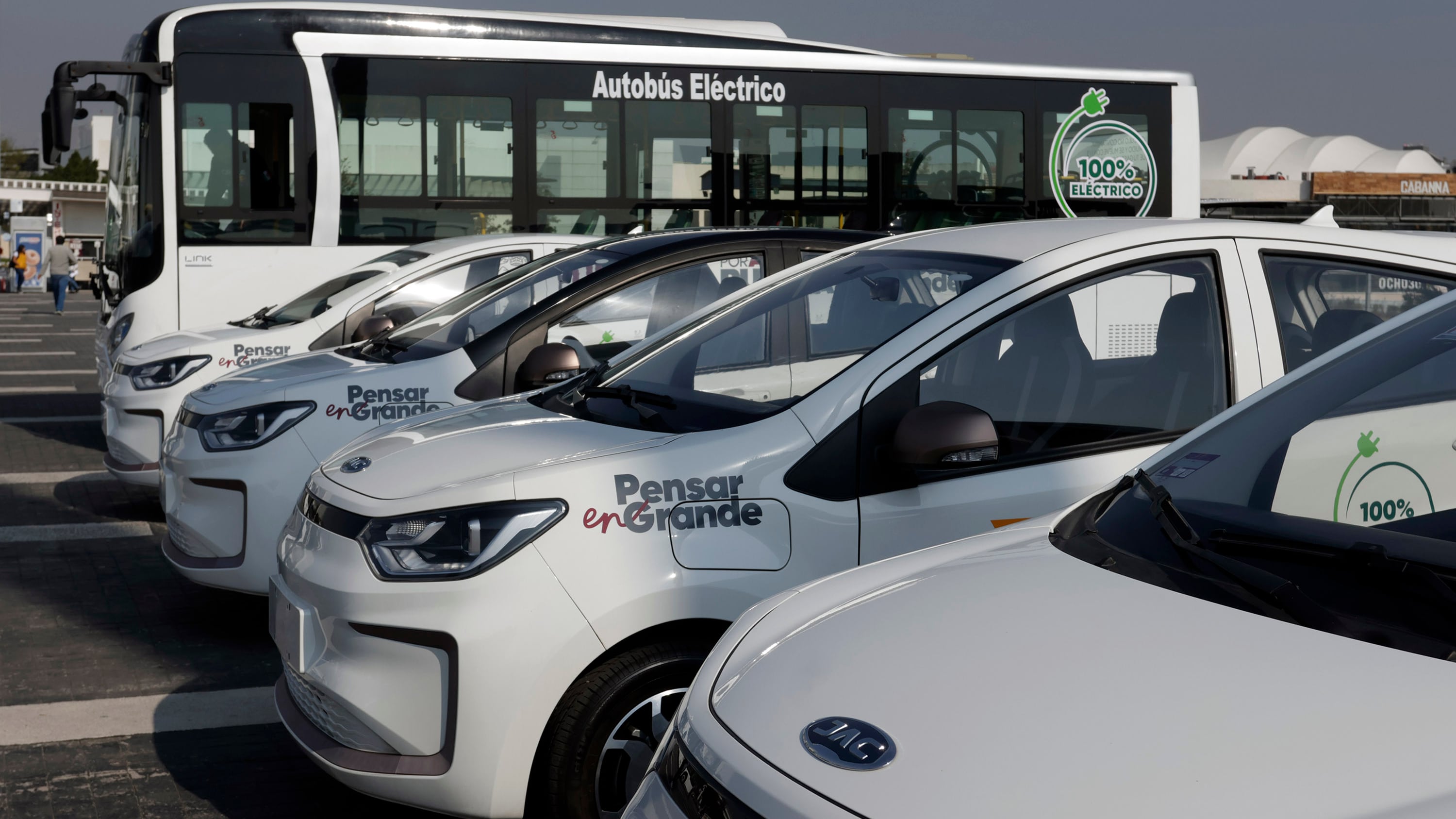 FOTO: Mireya Novo/Agencia Enfoque