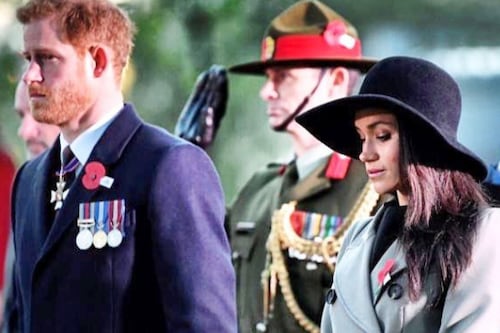 ¡Es el único igual a su madre!: El príncipe Harry acarició a un perrito durante actos en honor a la reina Isabel