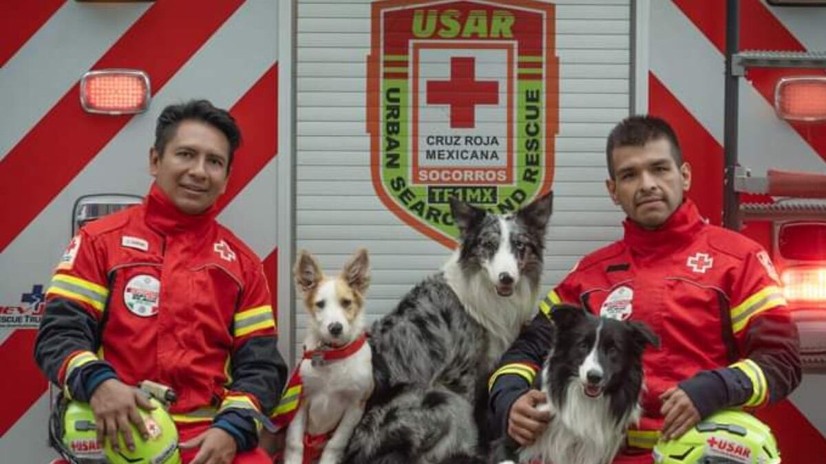La Cruz Roja Mexicana celebra a lomitos rescatistas en el Día Internacional del Perro