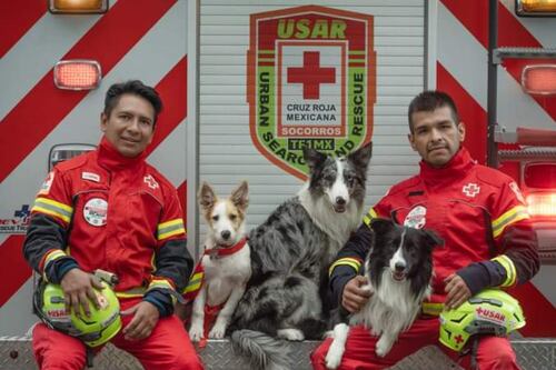 La Cruz Roja Mexicana celebra a lomitos rescatistas en el Día Internacional del Perro