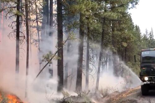 Bomberos se enfrentan al mayor incendio forestal de EU en Oregón