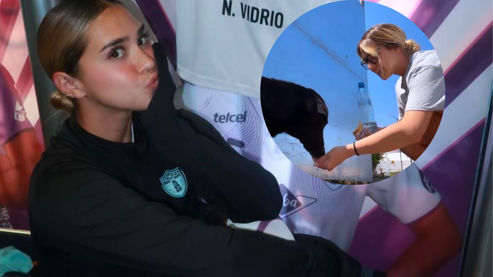 Nailea vidrio rescató a un lomito en condiciones deplorables.