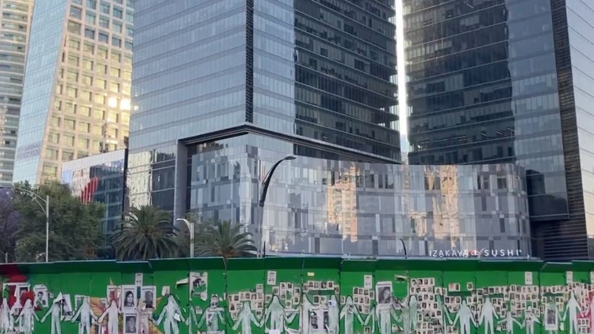 Retiran ahuehuete de la glorieta de 'La Palma'.