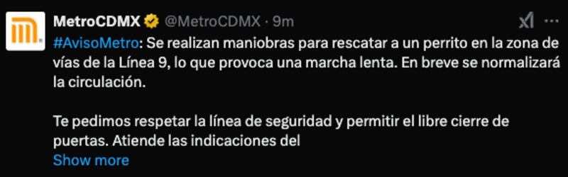 Línea 9
