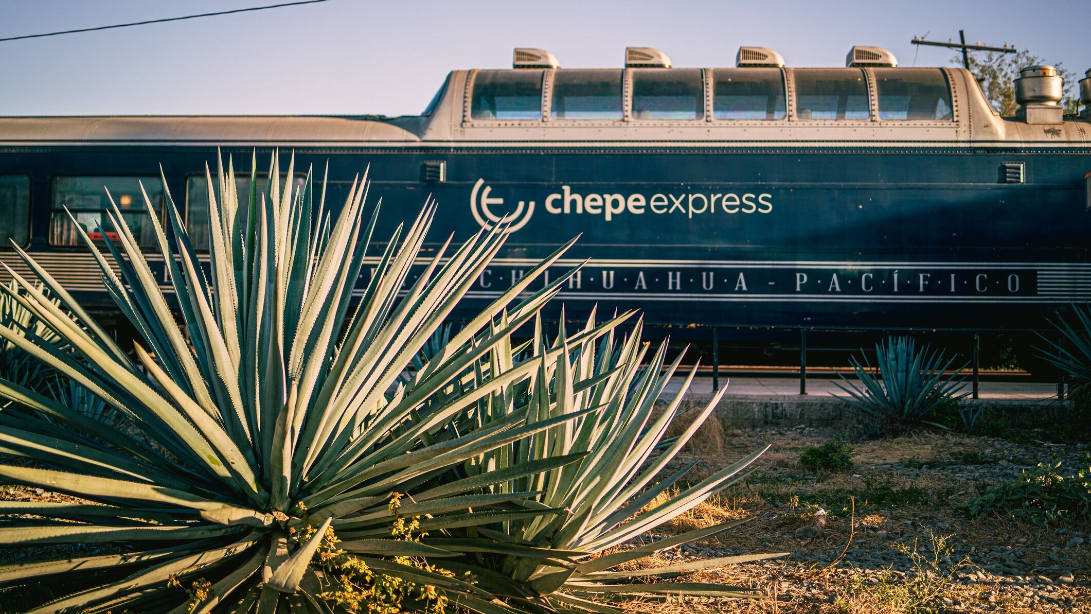 Si estás buscando un destino para escaparte con bellos escenarios naturales, buena comida y mucha aventura, sin duda Chihuahua es el lugar perfecto.