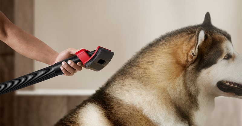 Te recomendamos los dispositivos que harán más fácil, deliciosa y conectada la vida de quien los reciba