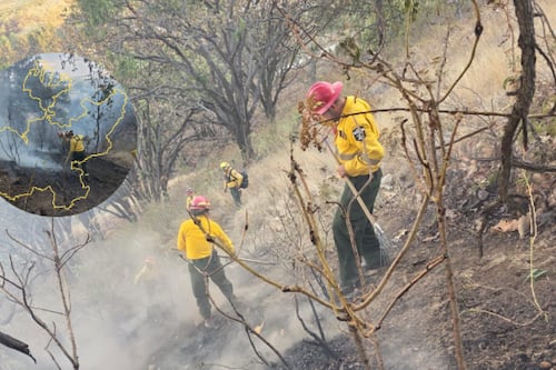 Cuatro incendios forestales se mantienen activos en Jalisco al inicio de Semana de Pascua
