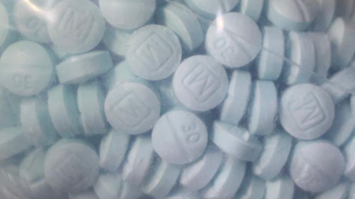 FGR asegura 40 mil pastillas de fentanilo en Chihuahua.