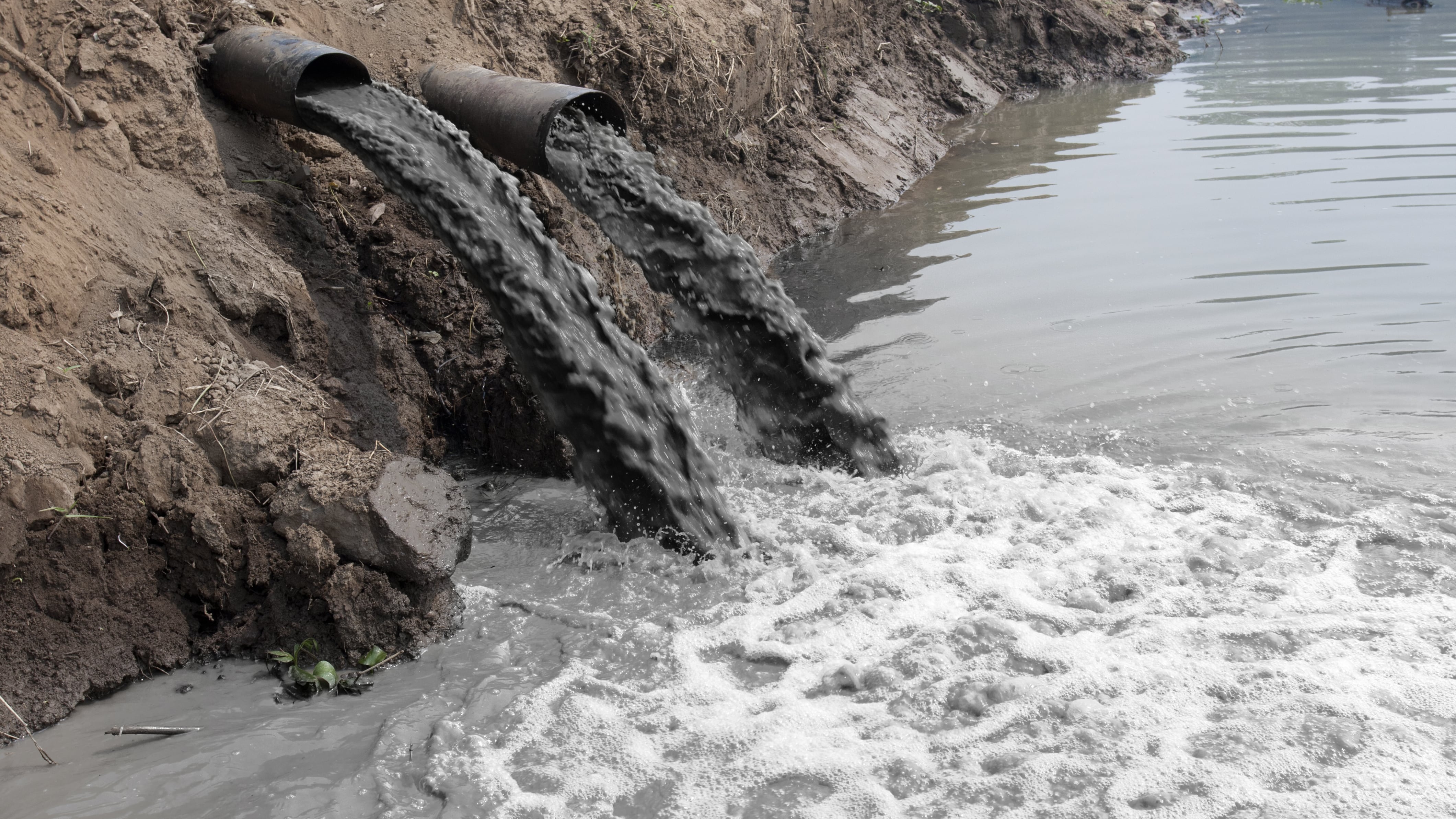 Lozano señaló que en la actualidad las denuncias de delitos ambientales se hacen por escrito, de forma presencial o por teléfono.