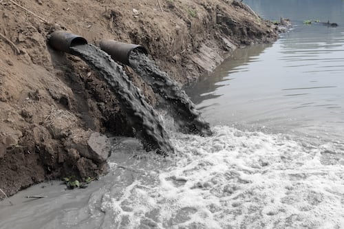 Multas por delitos ambientales en México superan los 305 millones de pesos